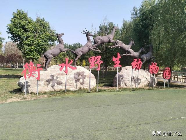 衡水市现有A级景区30家，其中5A级1家，4A级3家，3A级20家 2A级6家