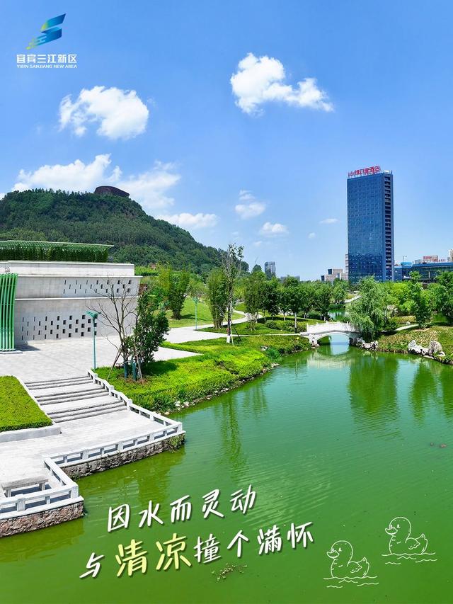 八月的新区tree tree的🌳🎋🌴🍃