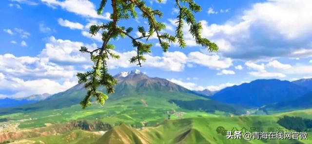 【青海在线网·散文】《祁连美》系列——龙蟠天堑·天桥山