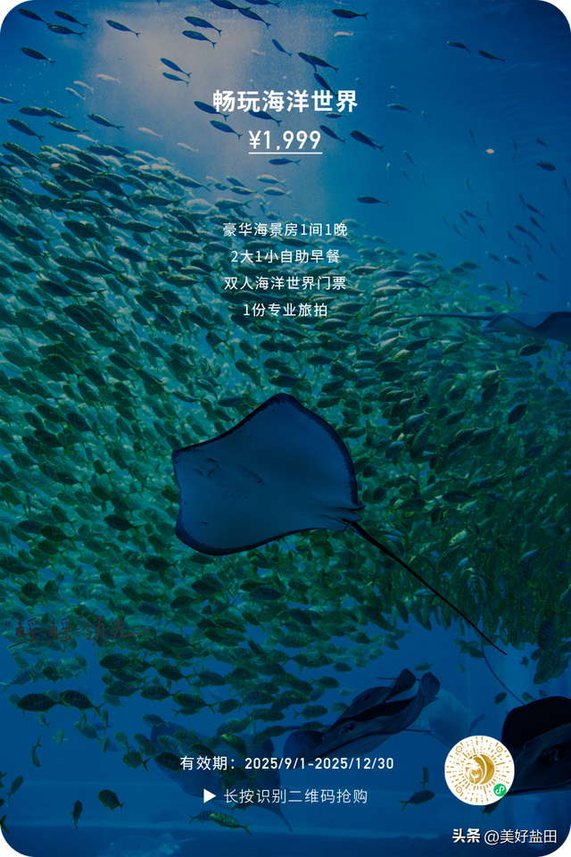 梅沙国庆终极攻略！这些福利正在刷屏→