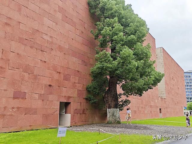 杭州旅游攻略看展逛博物馆老街菜市场换个城市走走停停文艺风