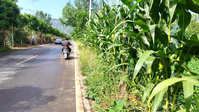 探秘西北梁：一场藏在封龙山余脉里的秋日驴行
