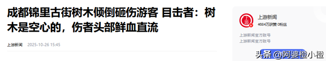 突发！武侯祠百年古柳轰然倒伏，两名游客被砸送医，现场细节曝光
