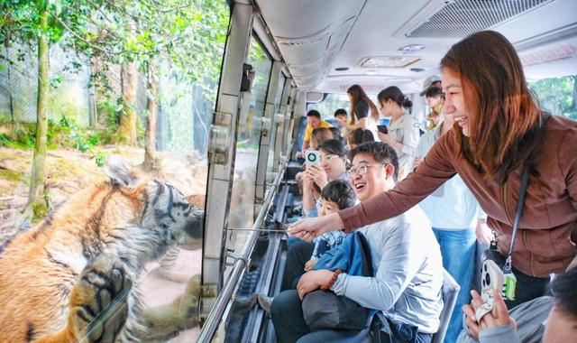 不止于“路过”！雅安文旅破局记，看小城如何盘活熊猫与公路IP