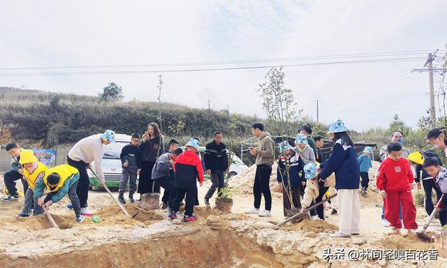 厦门植树节去哪里种树？这份春日指南请收好