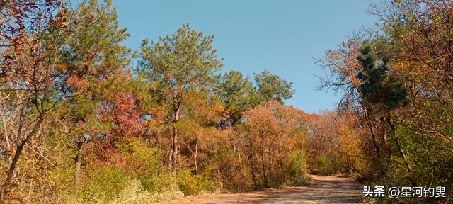 从射乌山到柏家庄