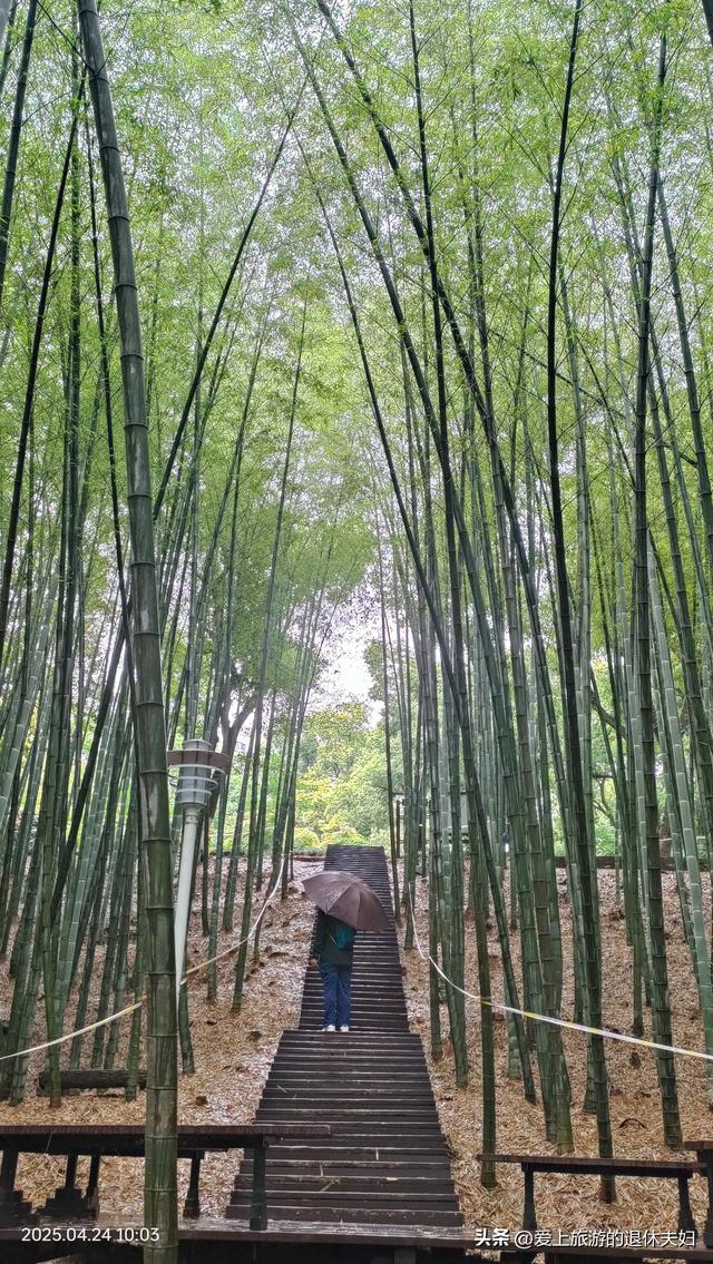 出游第7站-岳阳：因去的不是时候,愉悦与失落参半,岳阳楼值得登吗