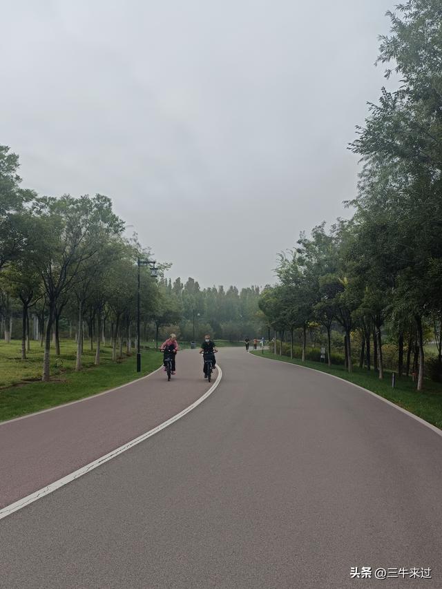 无为在歧路，国庆游淄博4