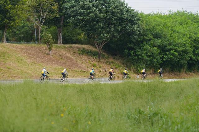 以车轮为笔，越科技水岸！光明凤凰街道秋日骑行盛宴，开启全民健身新范式