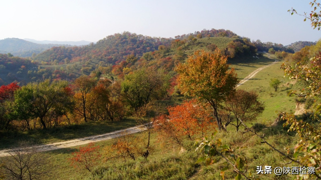 【检事漫谈】寻一条“直”道