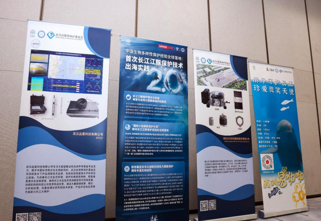 这种「致敬自然」的中国方案，正在成为世界样本