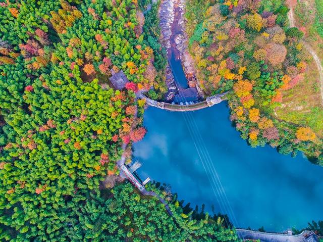 收藏！摄影师私藏的山河秋色，藏着最浓的诗意 | 皖美秋日