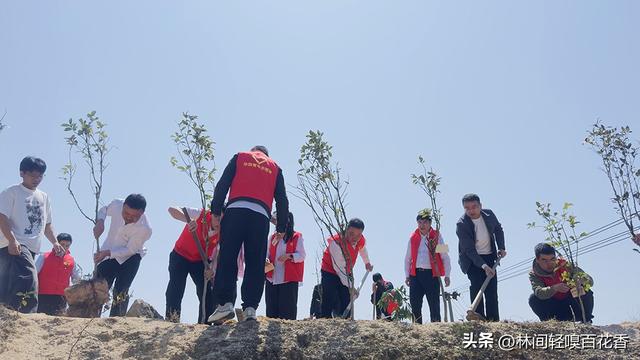 厦门植树节去哪里种树？这份春日指南请收好