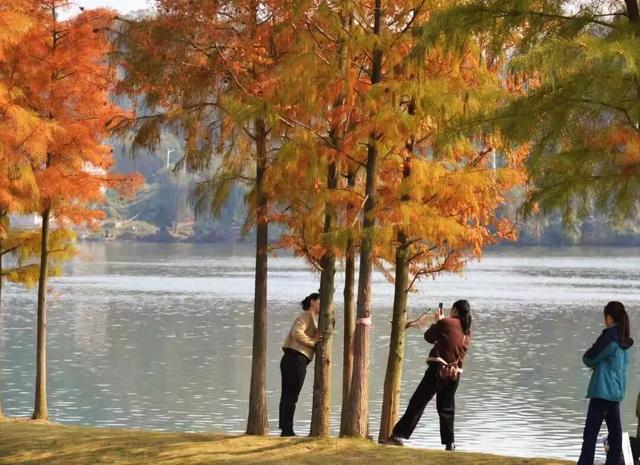 好多人都去了！金堂这个地方最近很火！