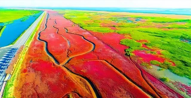 重温“选美中国”20年！中国六大湿地：地球之肾的绝美暴击
