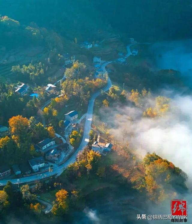 速约！平武彩林秘境进入最佳观赏期，就等你了