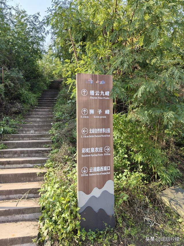 户外徒步之挑战缙云九峰，从健身梯道到狮子峰，走了四小时