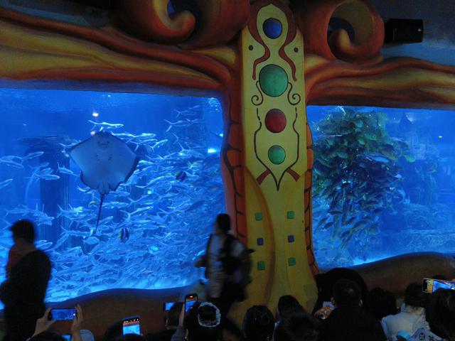 在兰州，极地海洋世界，看美人鱼🧜🏻‍♀️表演