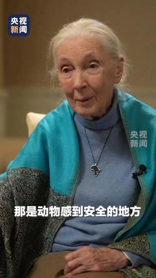 痛心！联合国和平使者身亡，生前仍在工作，最后一条动态让人惋惜