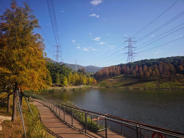 从丽康路穿荔园溪谷至西丽湖绿道骑行随拍