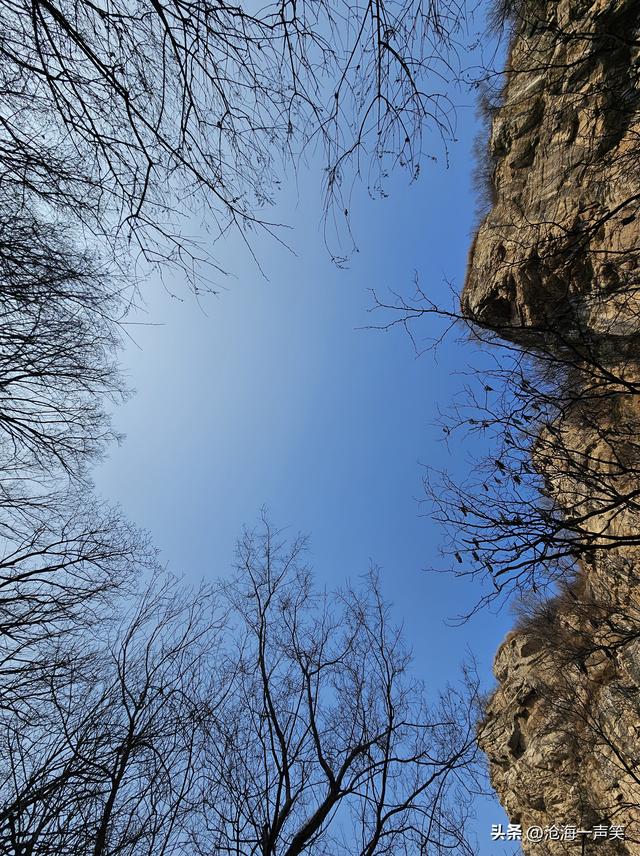 冬季大山的美，白雪皑皑，微风徐徐，树枝婆娑，人影攒动……