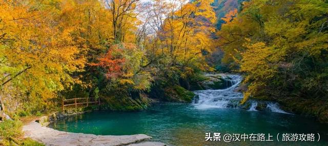 汉中这处红叶已进入最佳观赏期