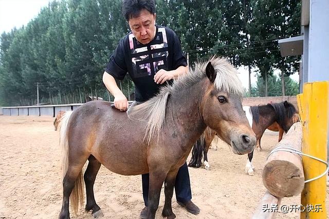 不查不知道一查吓一跳，坐拥北京60亩庄园的于谦，私下到底有多富