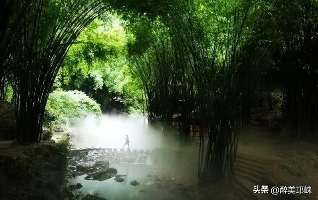 聆听邛崃丨漫步川西竹海秋日仙境