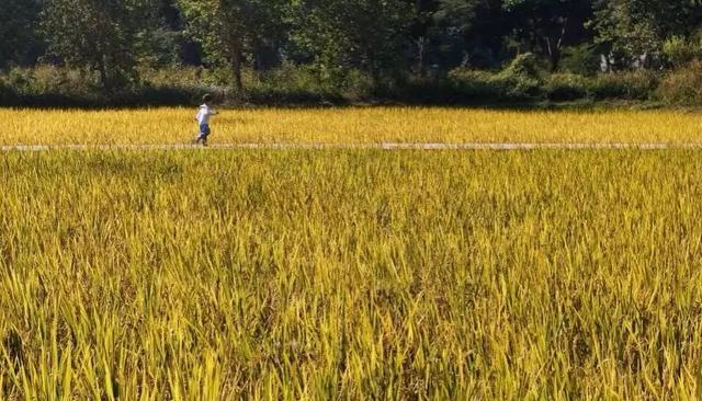 “香港赛马会”第六届中国（广州）从化户外休闲运动季即将开幕！