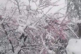 猛降33℃！湖北接下来的天气......图片