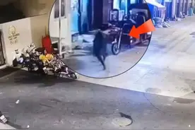 太惊险！事发武汉，野猪凌晨攻击店铺卷闸门图片