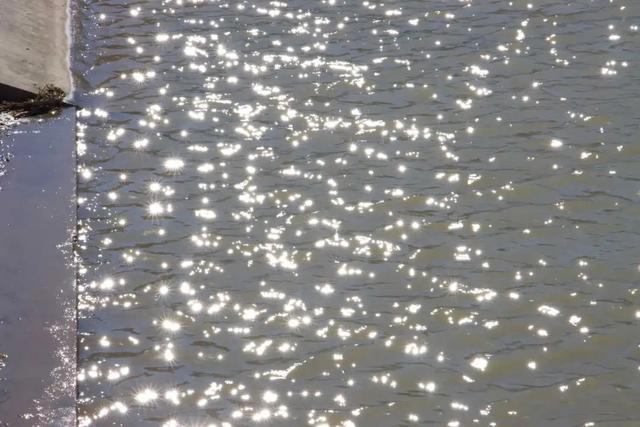 美翻了！丰台这些“秋季限定”进入倒计时→