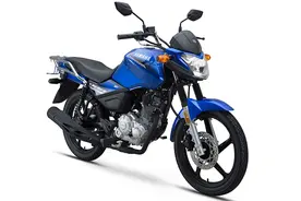 什么牌子的摩托车跑山路和爬坡有力，还可以载重呢？图片