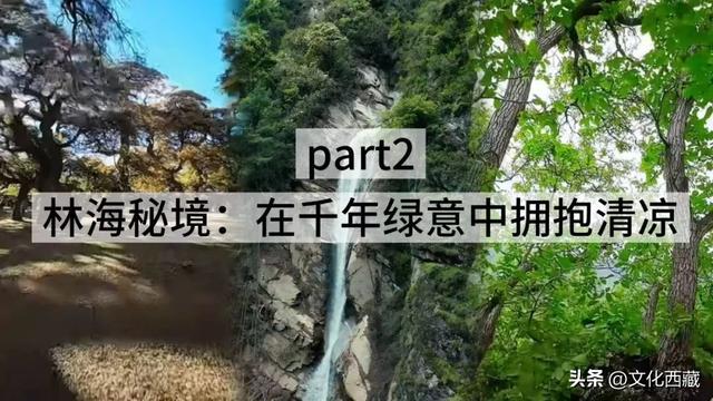 夏日避暑，西藏这里赢麻了!