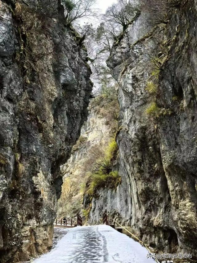 陇原赏秋韵，冬游官鹅沟