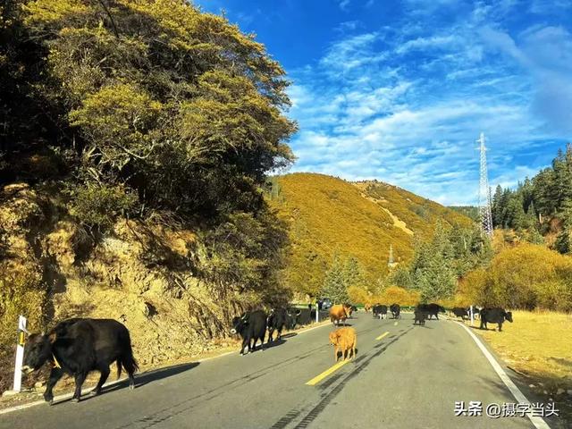 格聂南线——川西自驾的天花板