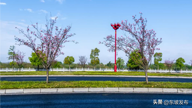 你好 东坡 ！| 滨江路：岷江之畔，一场与城市的诗意对话