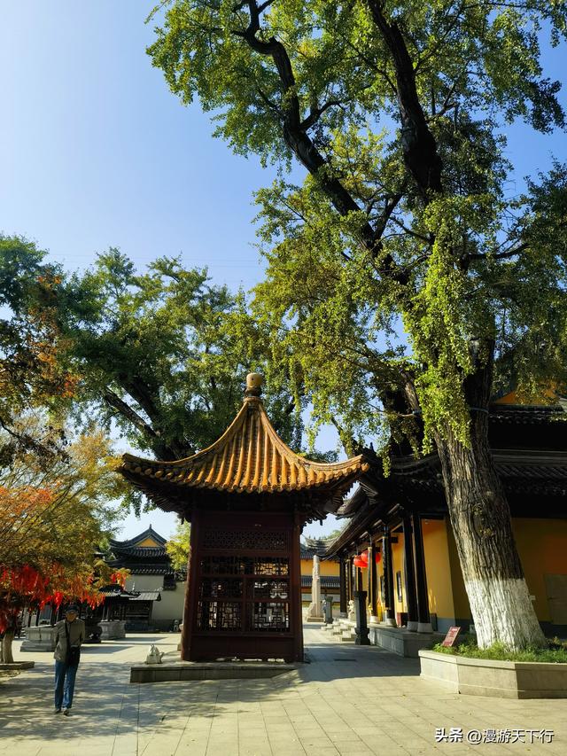 镇江三山一渡中，焦山是我的盘中菜，历史文化底蕴更为深厚