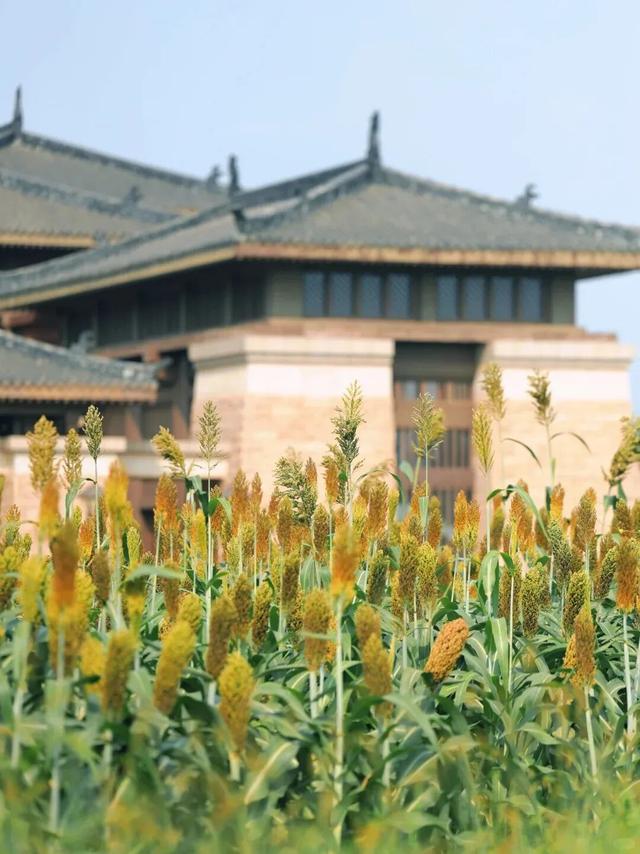 又有景区“升咖”了