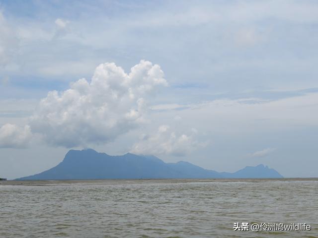 马来西亚(35)砂拉越州⑨峇哥国家公园徒步线路