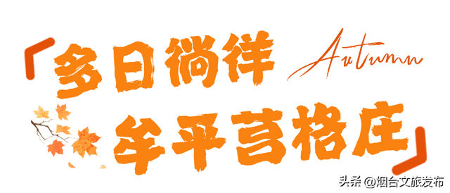 【乐游烟台】周末好去处丨任贤齐开唱+神仙秋景，烟台太好玩了