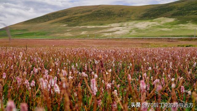 丁克夫妻用77天怒玩四川甘孜一共花了多少钱？总结来了！