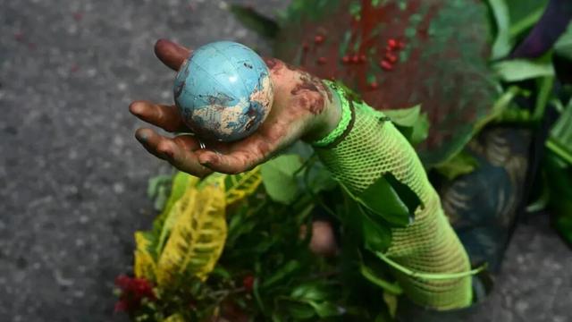 迄今世界第一大蛛网：106平米，11万只蜘蛛的家