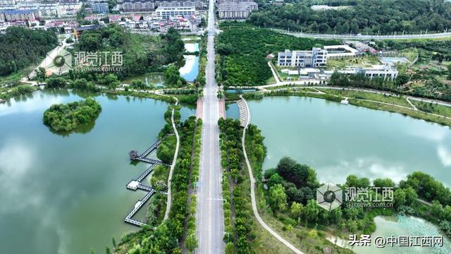分宜：湿地公园生态美