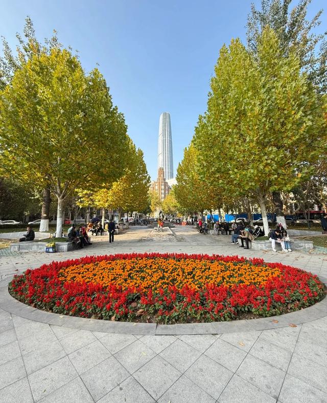 天津人厉害了!比“纽约中央公园”更好的公园,在天津出现了!