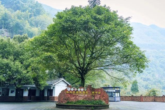 推荐 │ 去赤水，把暑期剩下时间都玩“嗨”