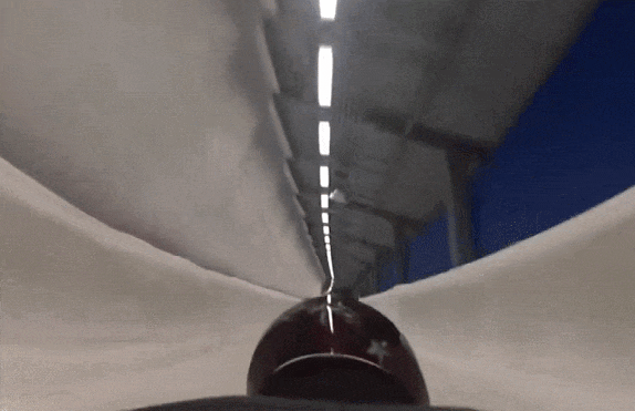 想不到吧，惊喜原来是他们