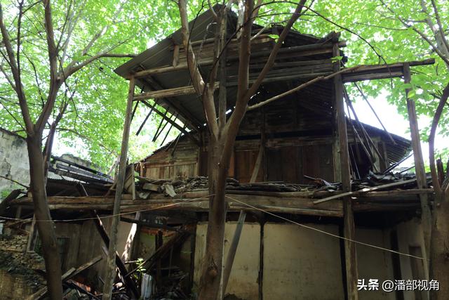 重走湖州练市镇，感受亦新亦旧的古镇