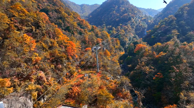 秋染大别山｜金彩天堂寨限定浪漫已上线，诚邀您开启影像创作之旅