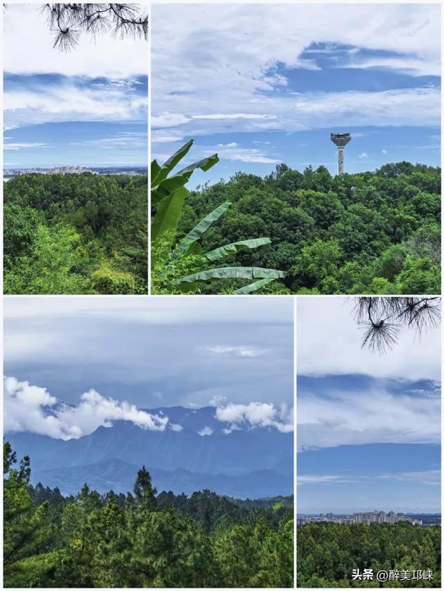 深秋想赴一场“森”系约会？来邛崃就够了！